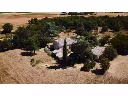the home