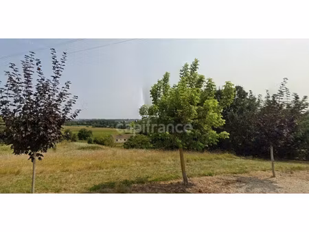 terrain à vendre moulinet 3878m2 37 000€