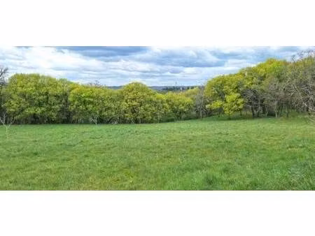 terrain constructible viabilisé à vendre