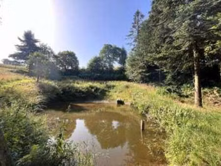 vente terrain à châteauneuf-du-faou (29520) : à vendre / 38444m² châteauneuf-du-faou