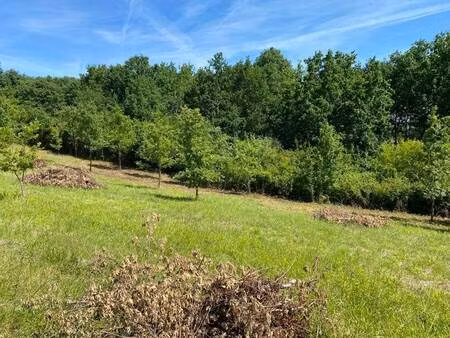 terrain constructible viabilisé à vendre