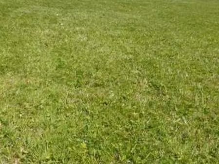 vente terrain à dirinon (29460) : à vendre / dirinon