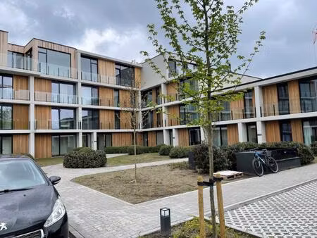 appartement te huur in beveren-kruibeke-zwijndrecht met 1 slaapkamer