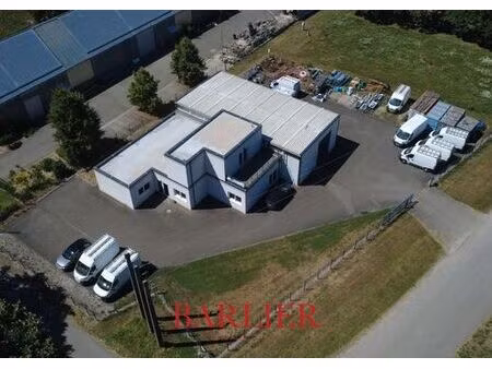prestigieux bureau de 400 m2 en vente - rhinau  grand est