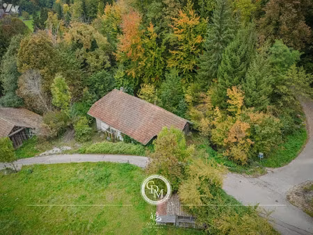 vente ferme 3 pièces 100 m² à gruffy (74540)  150 000 €