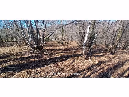 vallée du lot-terrain flagnac 1395 m2