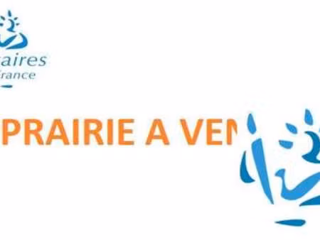 vente terrain à origny-le-butin (61130) : à vendre / 12320m² origny-le-butin