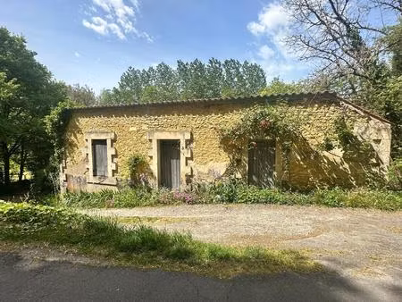 vente maison 2 pièces 110 m² saint-sauvant (17610)