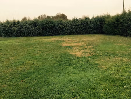 vente terrain 950 m² cercoux (17270)