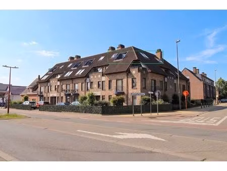 appartement te koop in maasmechelen met 1 slaapkamer
