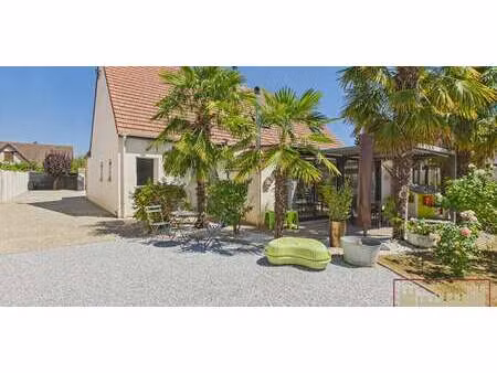 maison avec jardin maintenon (28)