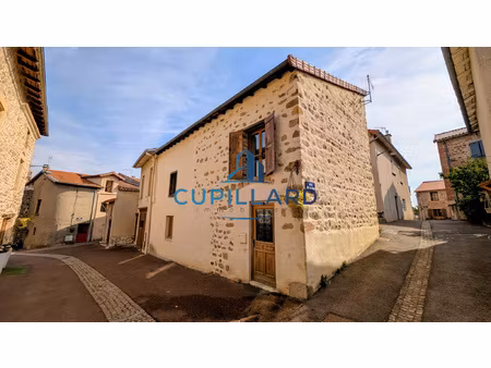 villerest bourg  maison atypique en parfait état