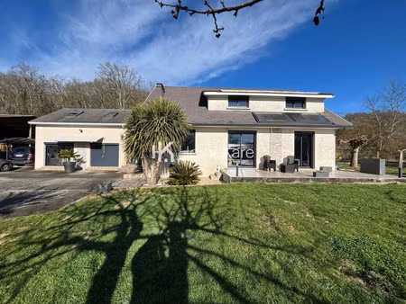 vente maison 9 pièces 280 m² villeneuve-de-rivière (31800)