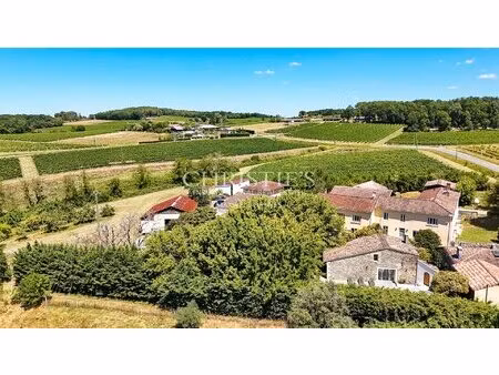 petit domaine viticole avec trois maisons  350m² avec piscine