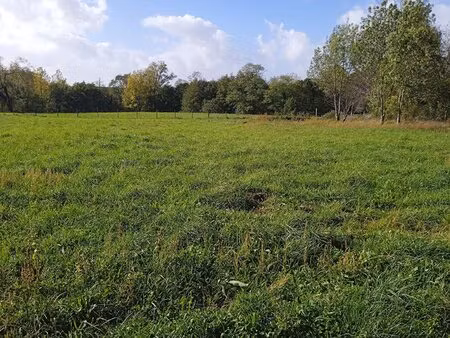 a vendre terrain à batir 1993 m2 viabilisé val-de-livenne