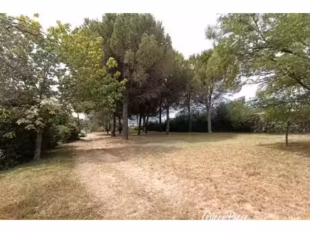 annonce terrain à vendre