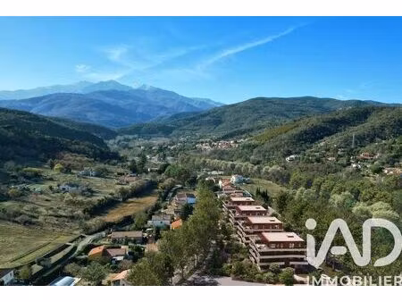appartement à céret (66400)