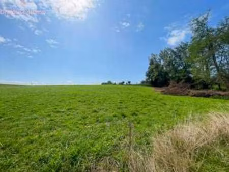 vente terrain à bidache (64520) : à vendre / 4111m² bidache