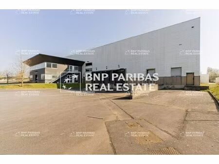location entrepôt logistique saint-michel-sur-orge 91240 6734m²