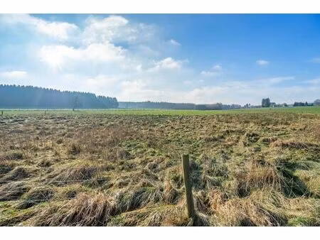 terrain à bâtir à vendre à rue des socquettes 0 paliseul (vbe47655)