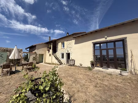 vente maison 13 pièces 322 m² vézelin-sur-loire (42590)