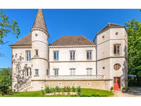 vente château 22 pièces 700 m² à boyer (71700)  1 700 000 €