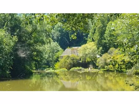 magnifique moulin rénové dans un écrin de verdure
