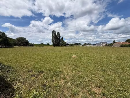 terrain lamarque pontacq 1005 m2