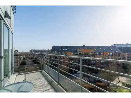 magnifique appart 2 chambres + terrasse et parking (otan)