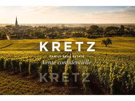 propriété viticole à vendre à saint-émilion