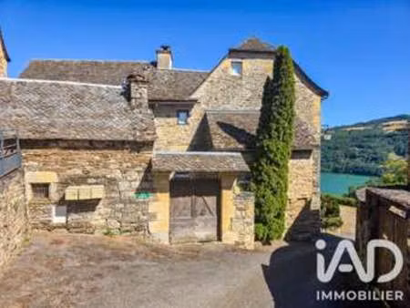 vente immeuble piscine à castelnau-de-mandailles (12500) : à vendre piscine / 324m² castel