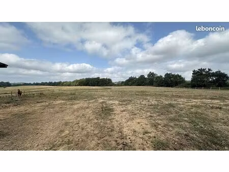 vente à terme occupé | propriété équestre 5 ha | 32240 estang