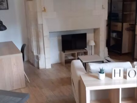 appartement vieux tours