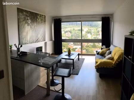 studio 33m2 belle vue + parking