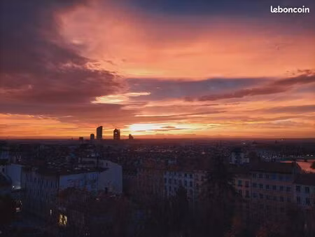 t3 avec vue panoramique - quartier : pentes de la croix-rousse  lyon 1er