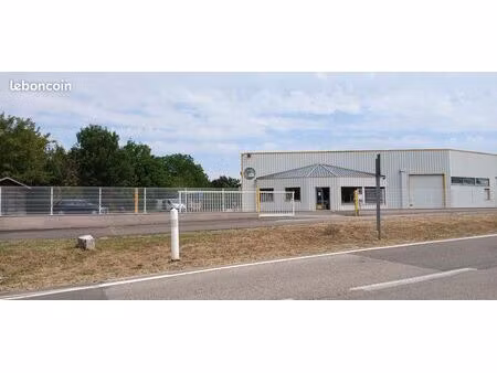 commerce charpente/menuiserie 2 000 m²