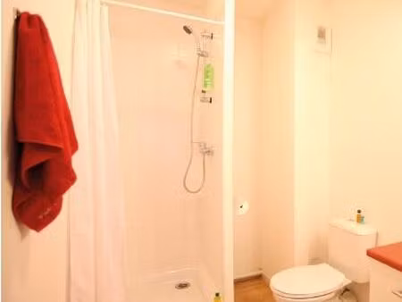 studio 1 pièce 17 m²
