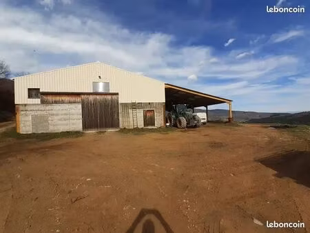local commercial
