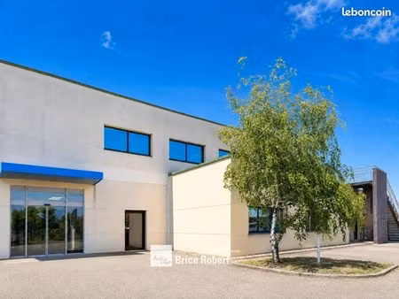 local d'activité 485 m²