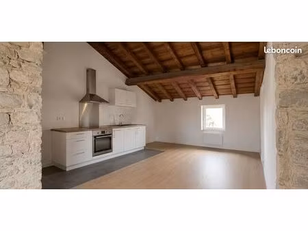 appartement t2 lumineux et rénové 50m² (rue du collège)