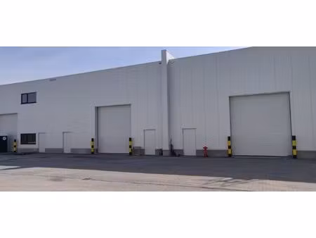 surface industrielle à louer à geelseweg 6 herentals (rwc43072)