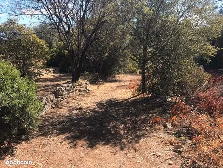 location terrain