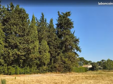 terrain 980 m² caromb