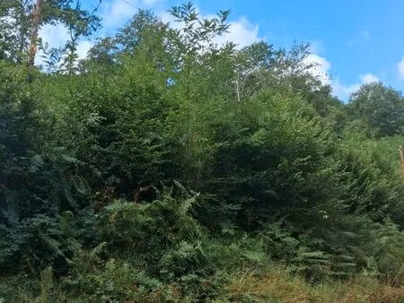 vend parcelle de bois