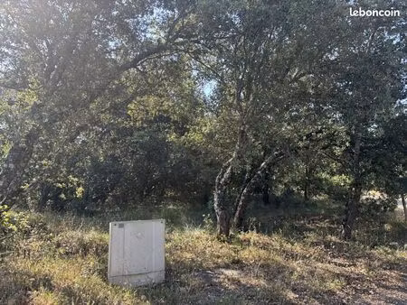 terrain constructible 2000 m² saint-martin-de-pallières