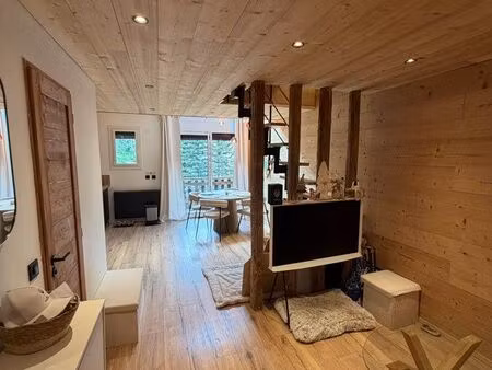 appartement en duplex centre station