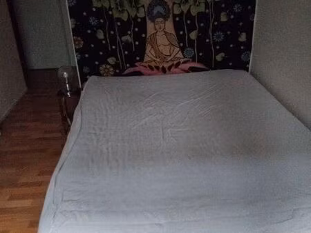 appartement 1 pièce 15 m²