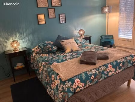 studio 29m2 meublé avec jardinet   résidence de standing++ vente directe