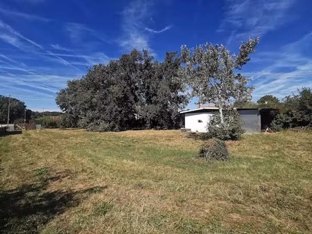 vente terrain à batir 1300 m² à aussonne (31840)  230 000 €