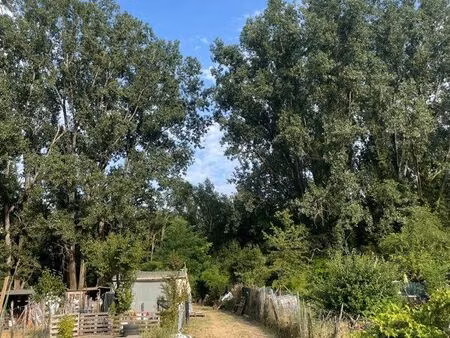 terrain agricole / loisir